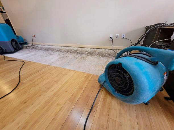 Professional Structural Drying technician working in Wartburg, TN